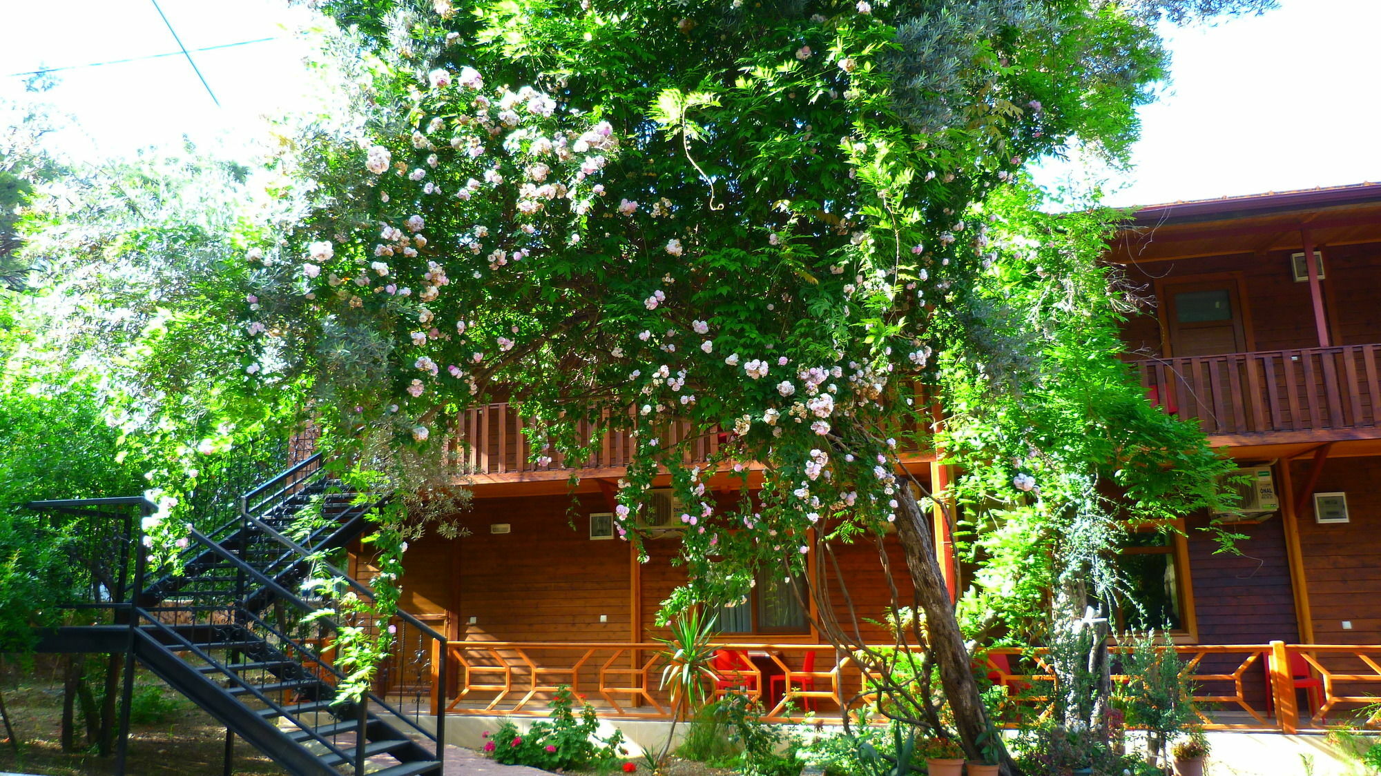 Cirali Simge Holiday Houses Exterior photo